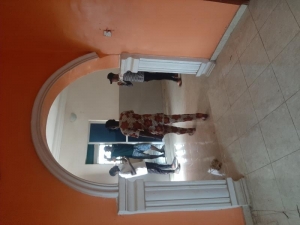 Image 1 Title