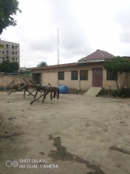 Image 1 Title