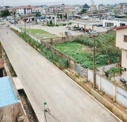 Image 1 Title