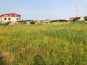 Standard 6638 Sqm Land In Good Location 6,638 Meter Square of Land for Sale Shomolu Lagos Vetra  Property