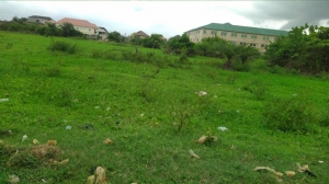 Image 1 Title