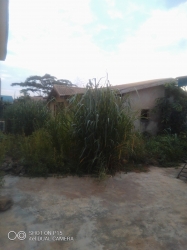 Image 1 Title
