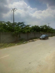 Image 1 Title