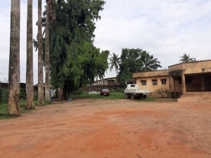 Image 1 Title