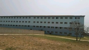 Image 1 Title