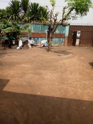 Commecial 2000sqm Land With Demolishable Structure 2,000 Meter Square of Land for Sale Ikeja Lagos Vetra  Property
