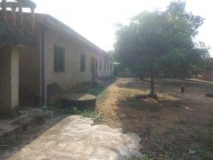 Image 1 Title