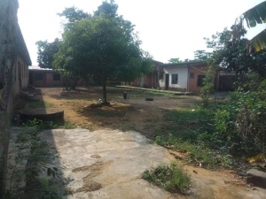 Image 1 Title