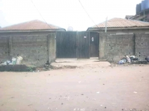 Image 1 Title
