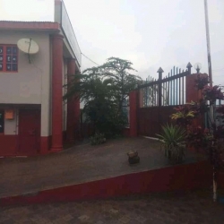 Image 1 Title