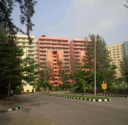 Image 1 Title