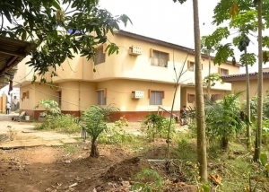 Image 1 Title