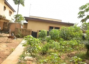 Image 1 Title