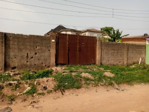 Standard Full Plot Of Land 1 Plot of Land for Sale Agege Lagos Vetra  Property