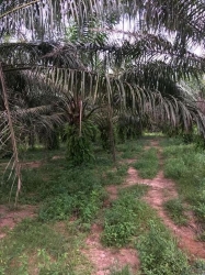 Image 1 Title