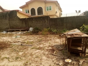 Standard 400sqm Of Land With C Of O 400 Meter Square of Land for Sale Ikeja Lagos Vetra  Property
