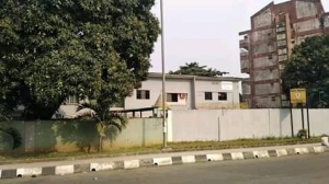 Image 1 Title
