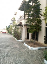 Image 1 Title