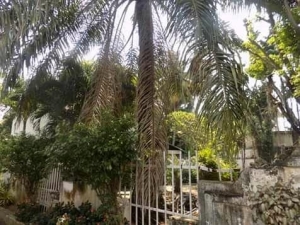 Image 1 Title