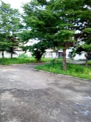Image 1 Title