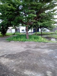 Image 1 Title