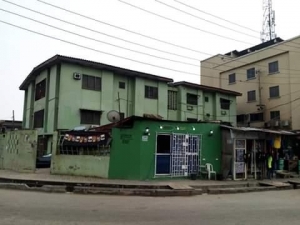 Image 1 Title