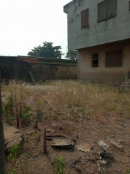 Image 1 Title