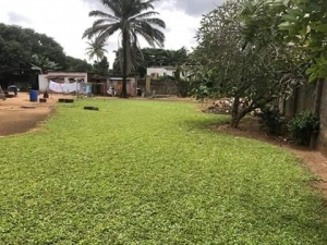 Image 1 Title