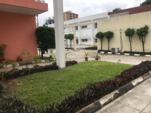Image 1 Title