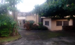 Image 1 Title
