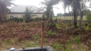 Standard Plot Of Land 60 By 120.full Plot Good And Decent Area 1 Plot of Land for Sale Ikotun Igando Lagos Vetra  Property