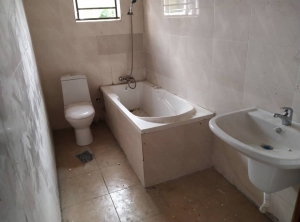 Image 1 Title