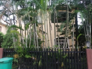 Image 1 Title