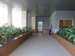 Image 1 Title