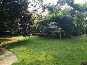 Image 1 Title