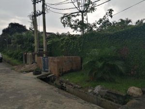 Image 1 Title
