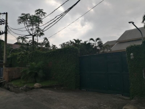 Image 1 Title