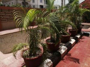 Image 1 Title