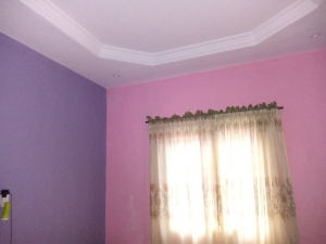 Image 1 Title