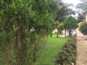 Image 1 Title