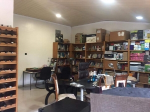 Image 1 Title