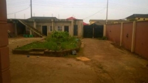 Image 1 Title