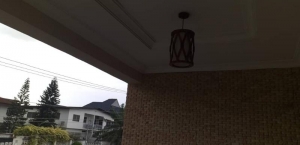 Image 1 Title