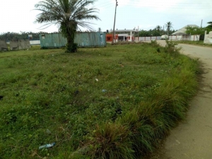 Image 1 Title