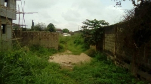 Image 1 Title