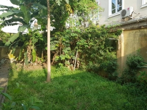 Image 1 Title