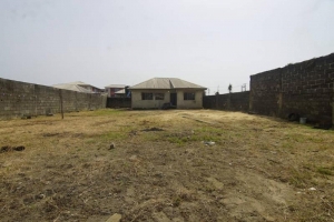 Image 1 Title