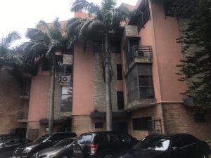 Serviced Furnished And Unfurnished 2 Bedroom Apartment  2 bedroom Flat for Rent Ikoyi Lagos Vetra  Property