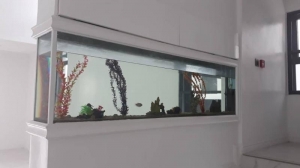 Image 1 Title