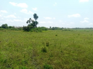 Image 1 Title
